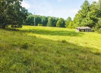 Land for sale in Floyd County VA