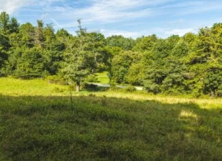 Land for sale in Floyd County VA