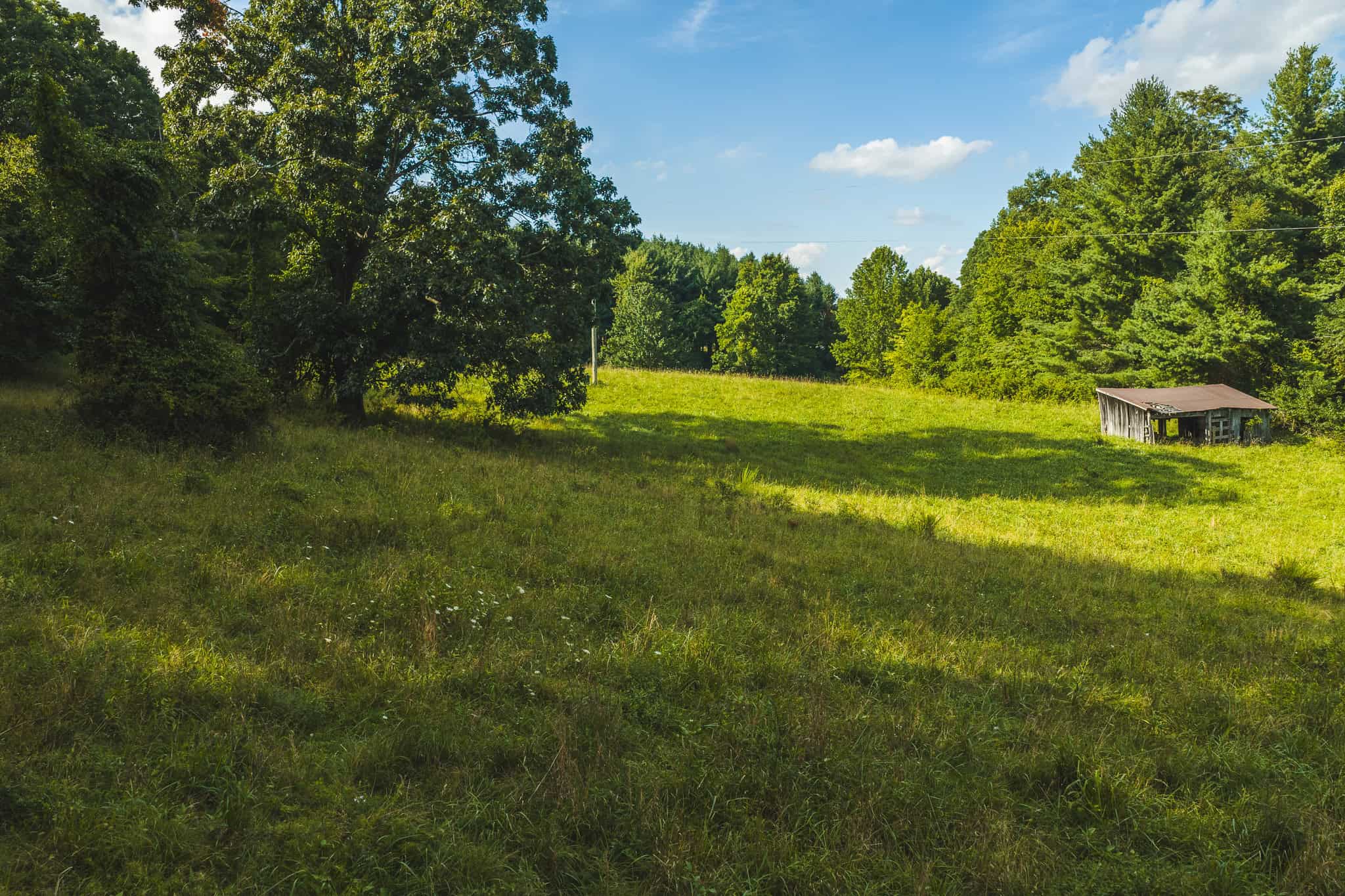 Land for sale in Floyd County VA