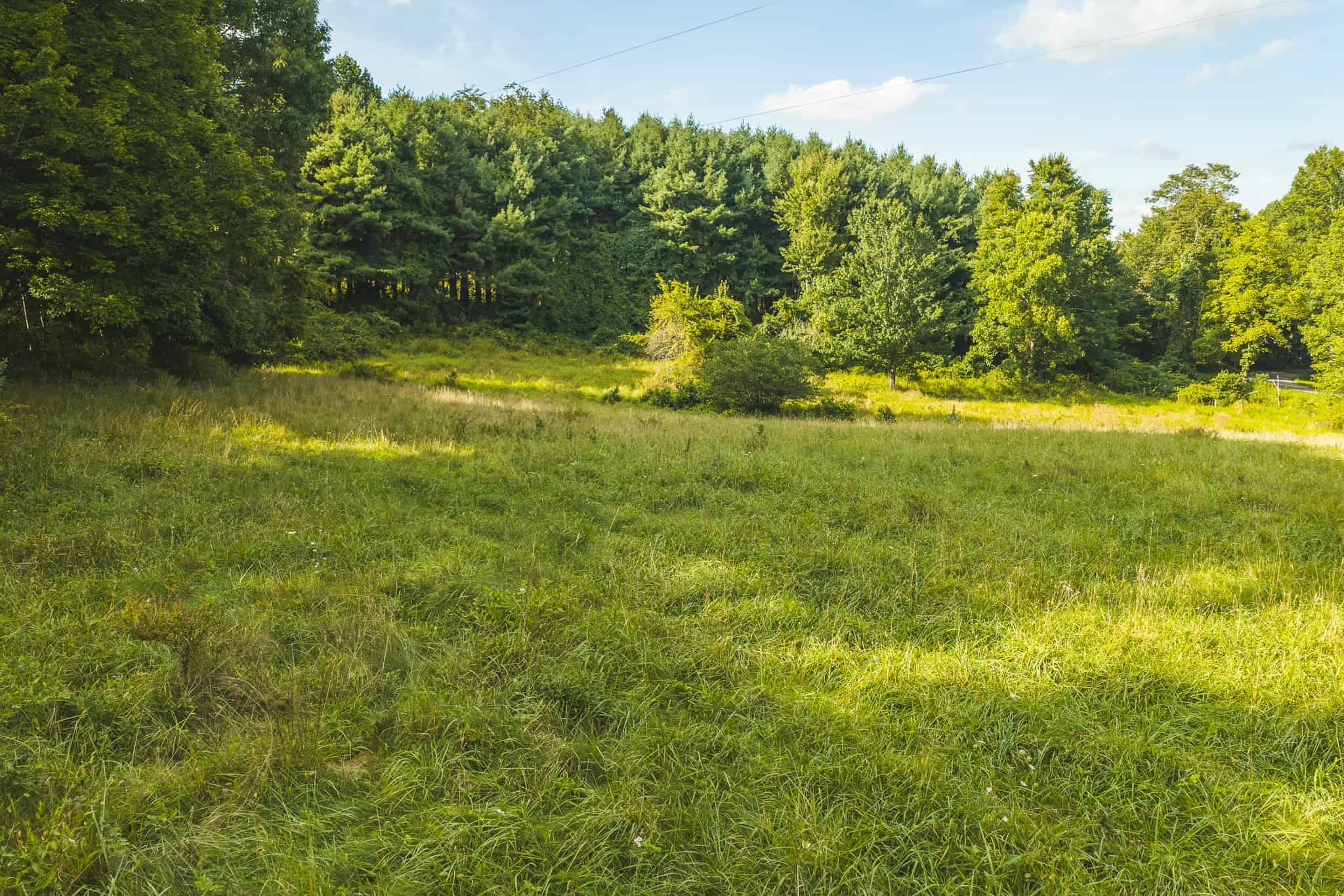 Land for sale in Floyd County VA