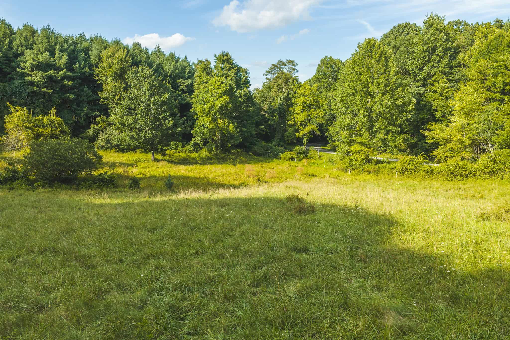 Land for sale in Floyd County VA