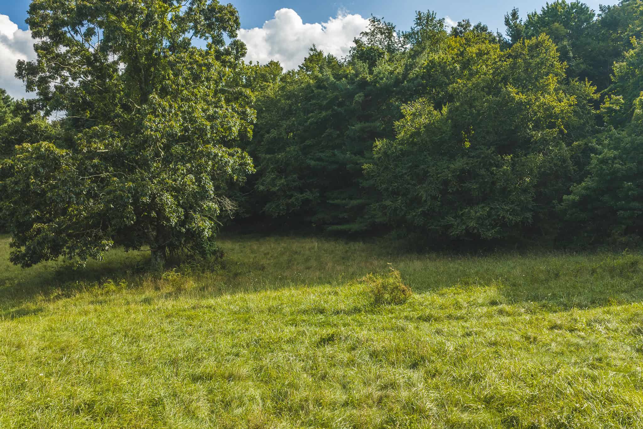 Land for sale in Floyd County VA