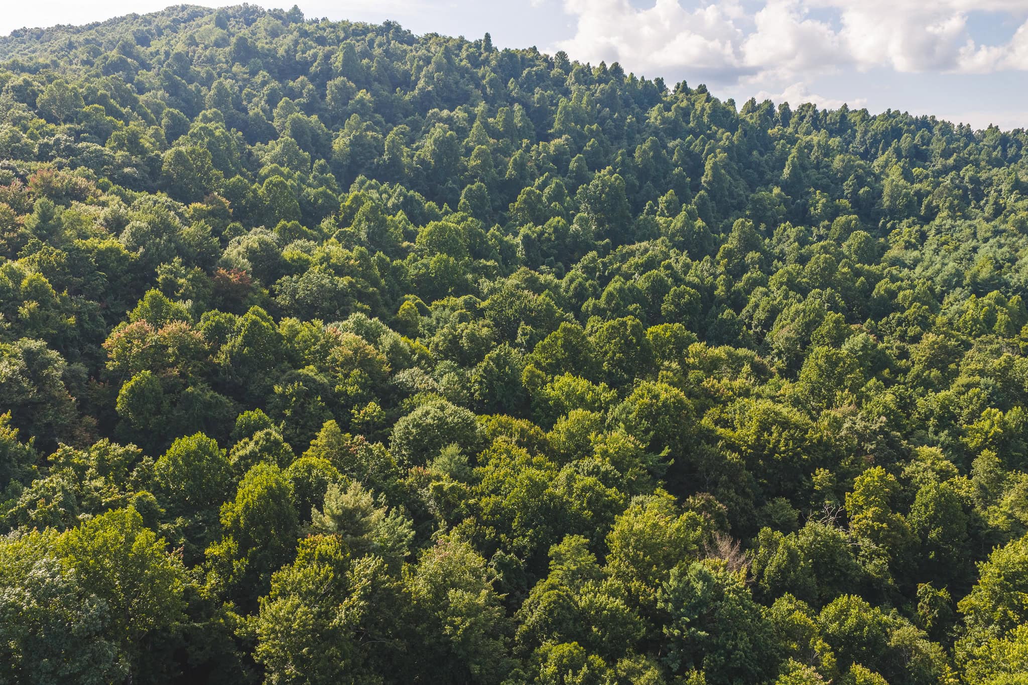 Land for sale in Floyd County VA