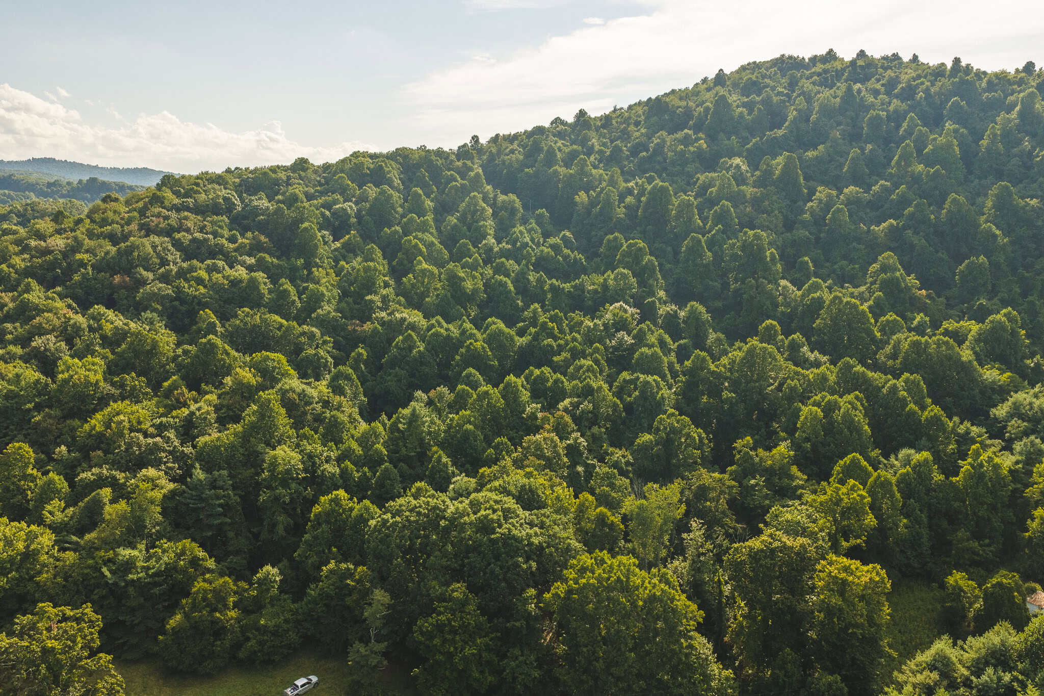 Land for sale in Floyd County VA