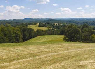 Beautiful Farmland with Views for Sale in Riner, VA!