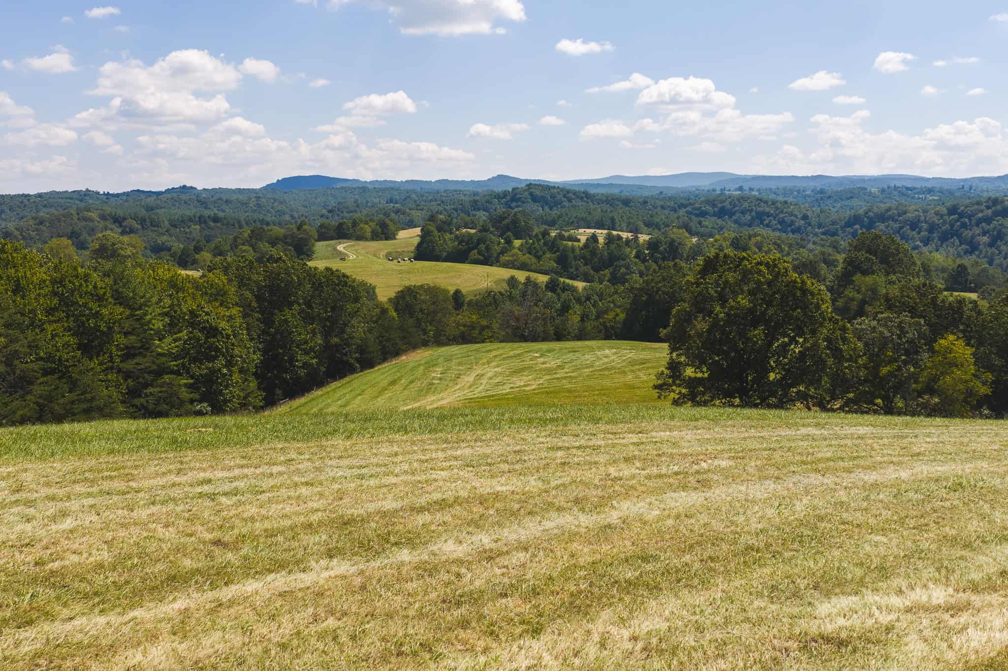 Beautiful Farmland with Views for Sale in Riner, VA!
