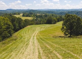 Beautiful Farmland with Views for Sale in Riner, VA!