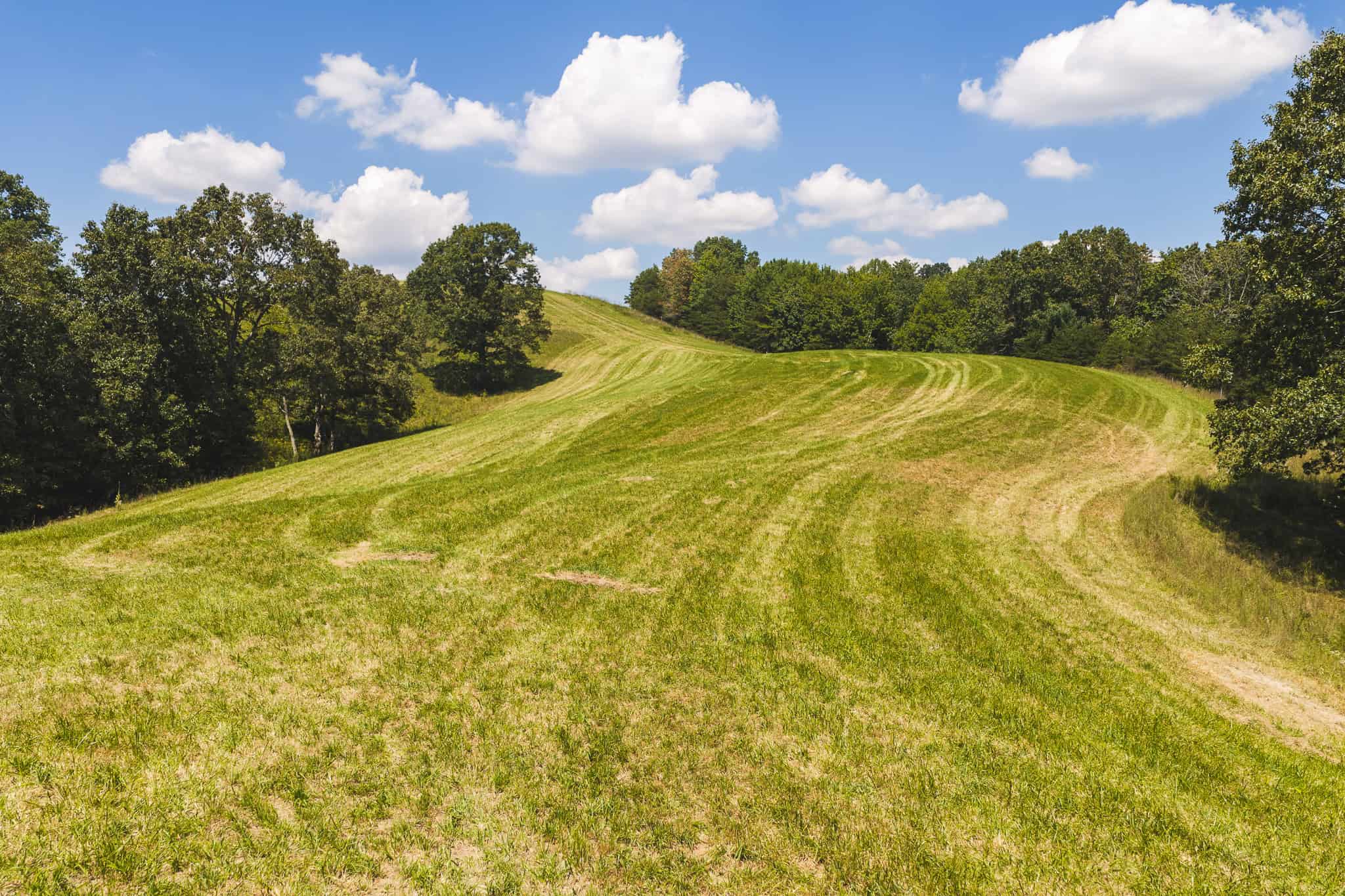 Beautiful Farmland with Views for Sale in Riner, VA!