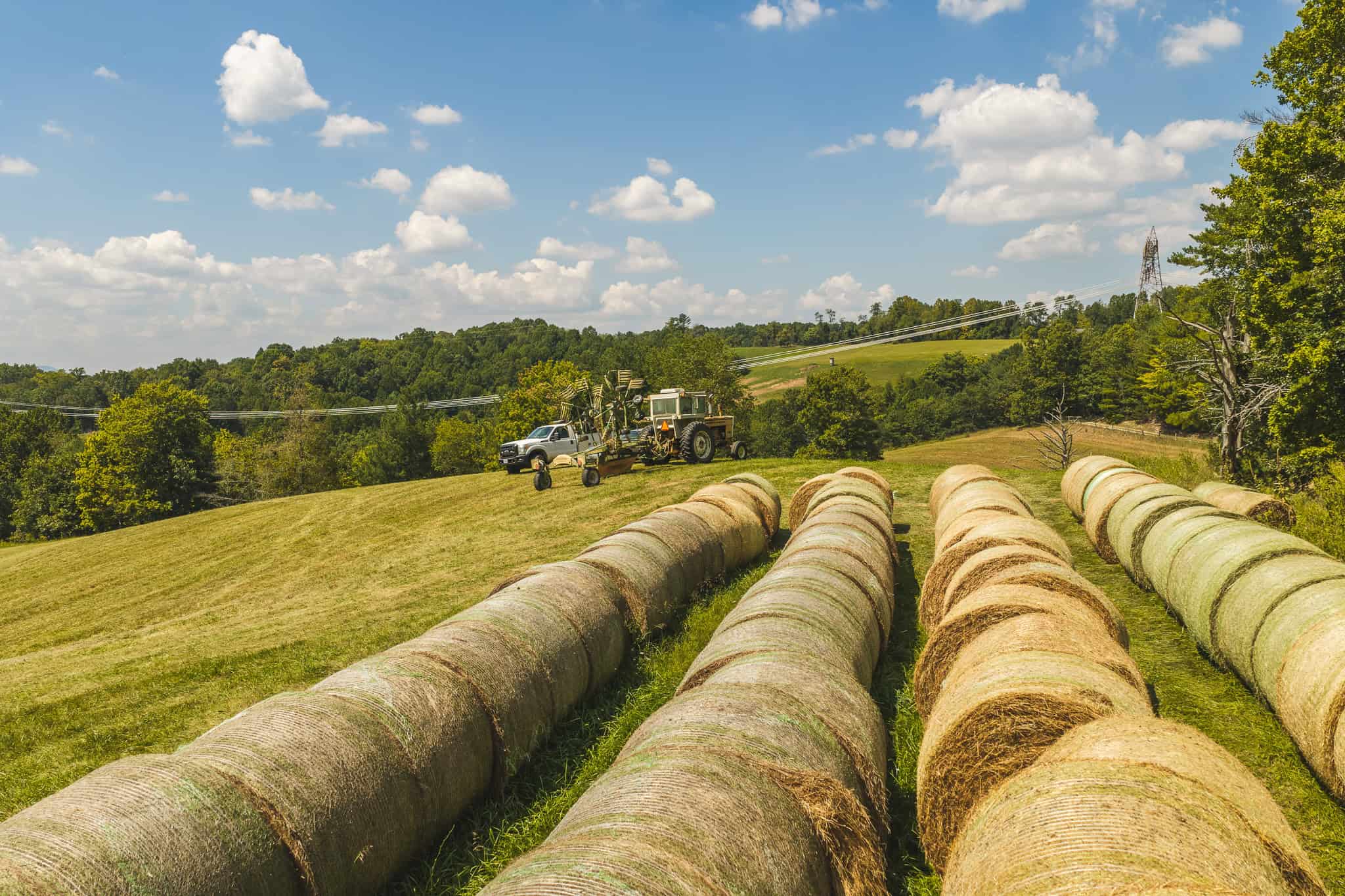 Beautiful Farmland with Views for Sale in Riner, VA!