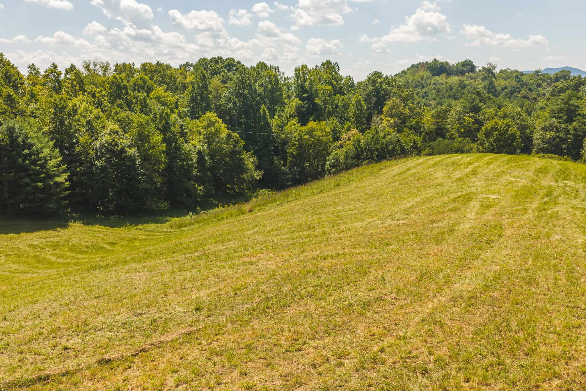 Beautiful Farmland with Views for Sale in Riner, VA!