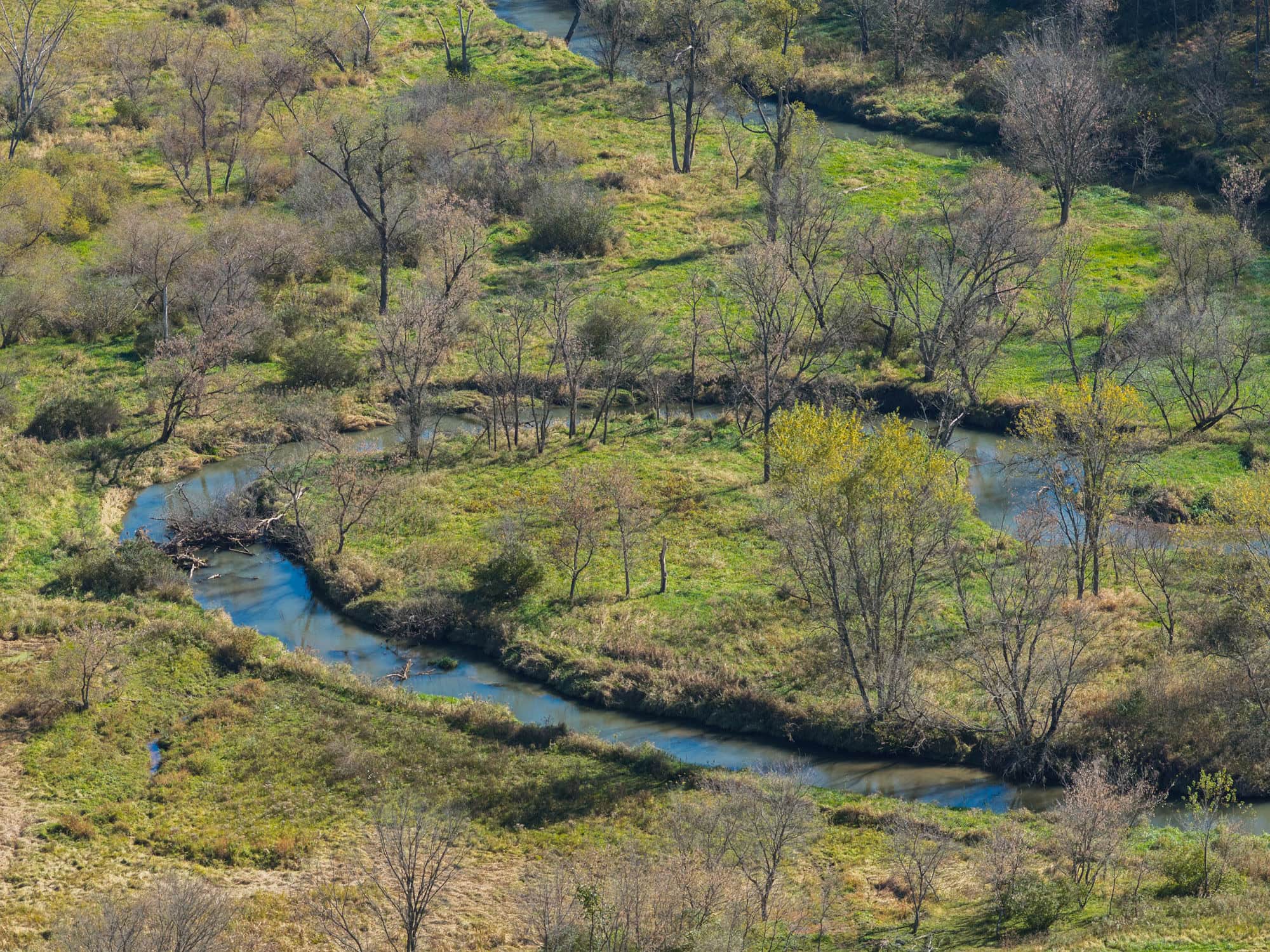 Driftless Area trout fishing and hunting retreat with a rustic log cabin, for sale Richland County WI