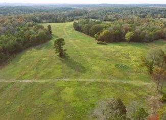 HUNTING LAND FOR SALE IN NORTH CENTRAL ARKANSAS OZARKS