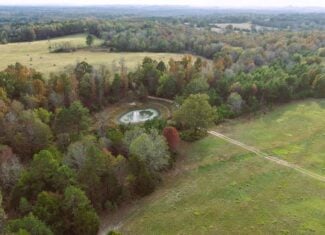 HUNTING LAND FOR SALE IN NORTH CENTRAL ARKANSAS OZARKS