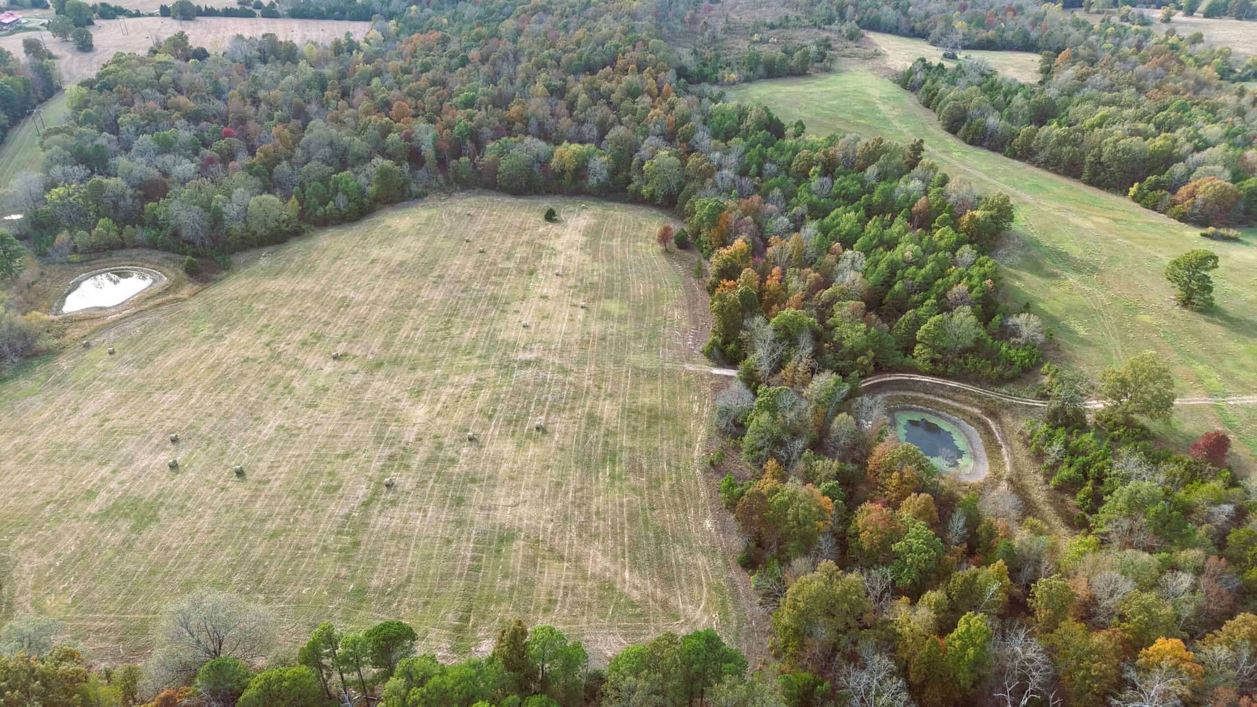HUNTING LAND FOR SALE IN NORTH CENTRAL ARKANSAS OZARKS