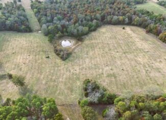 HUNTING LAND FOR SALE IN NORTH CENTRAL ARKANSAS OZARKS