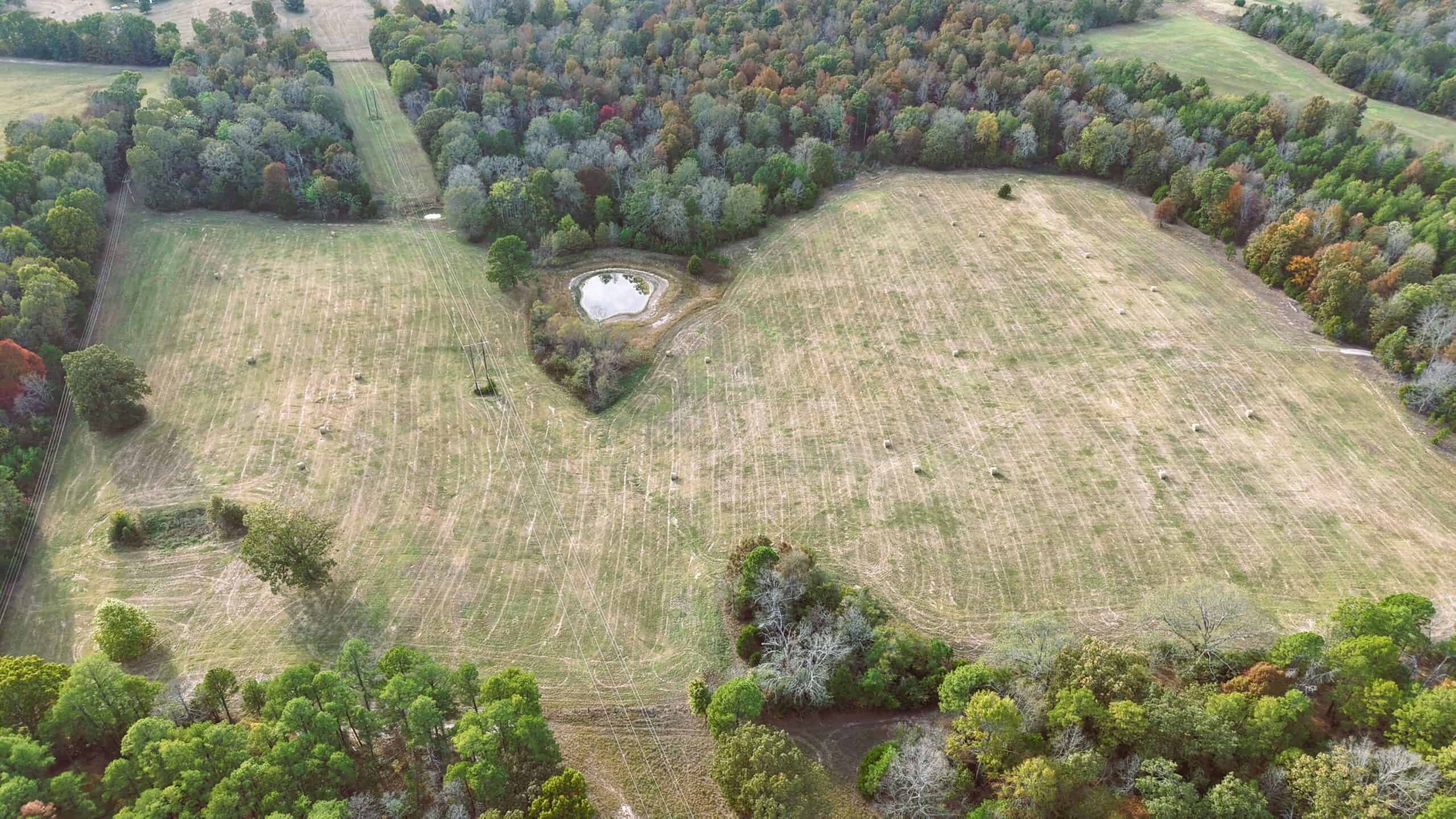 HUNTING LAND FOR SALE IN NORTH CENTRAL ARKANSAS OZARKS