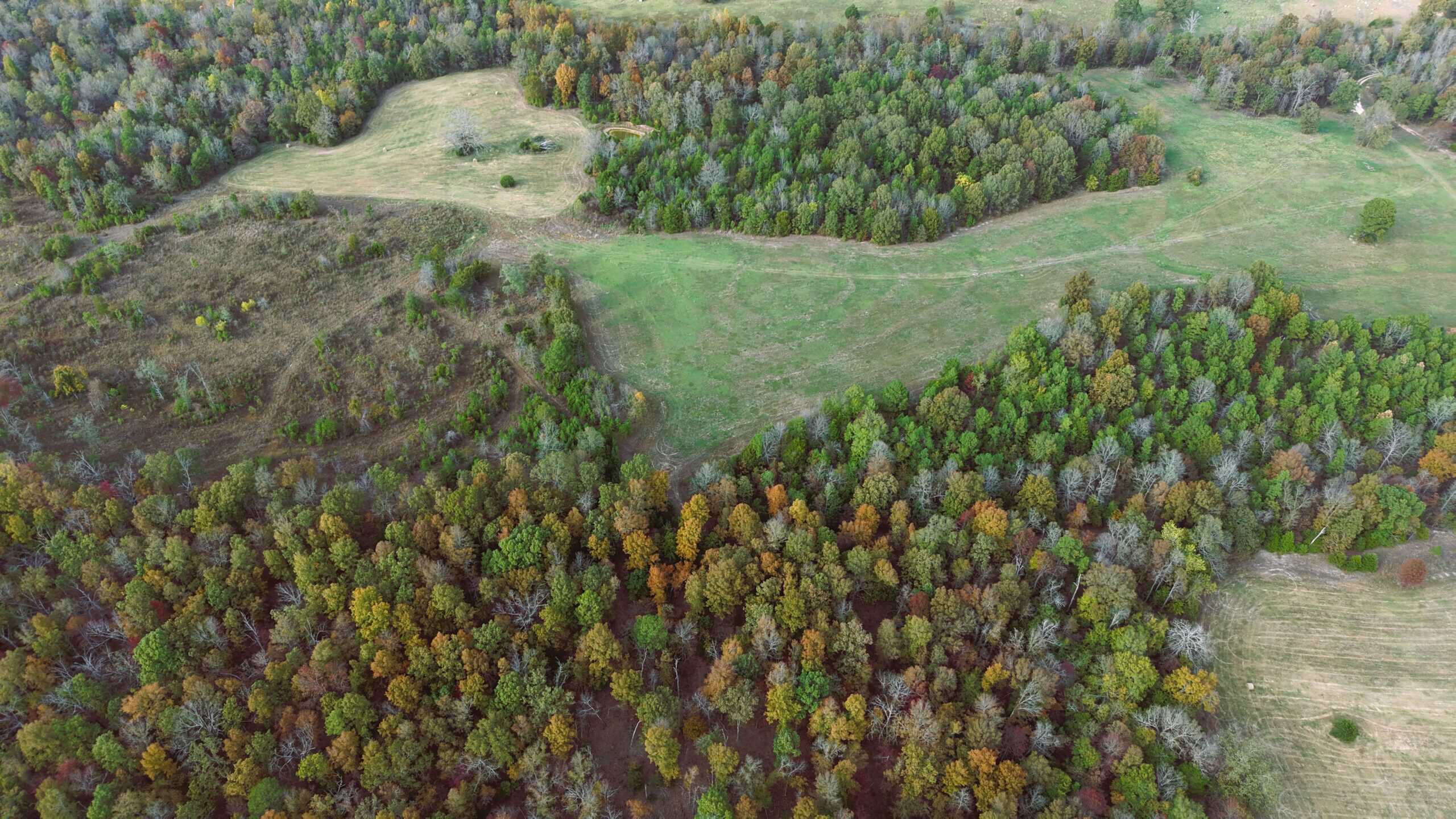 HUNTING LAND FOR SALE IN NORTH CENTRAL ARKANSAS OZARKS