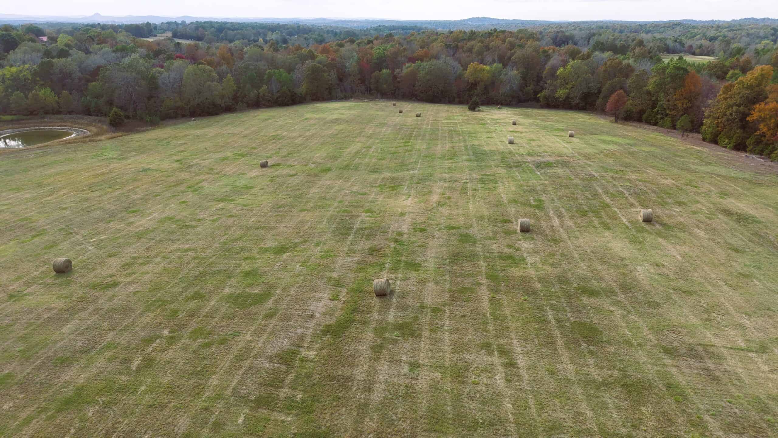 HUNTING LAND FOR SALE IN NORTH CENTRAL ARKANSAS OZARKS
