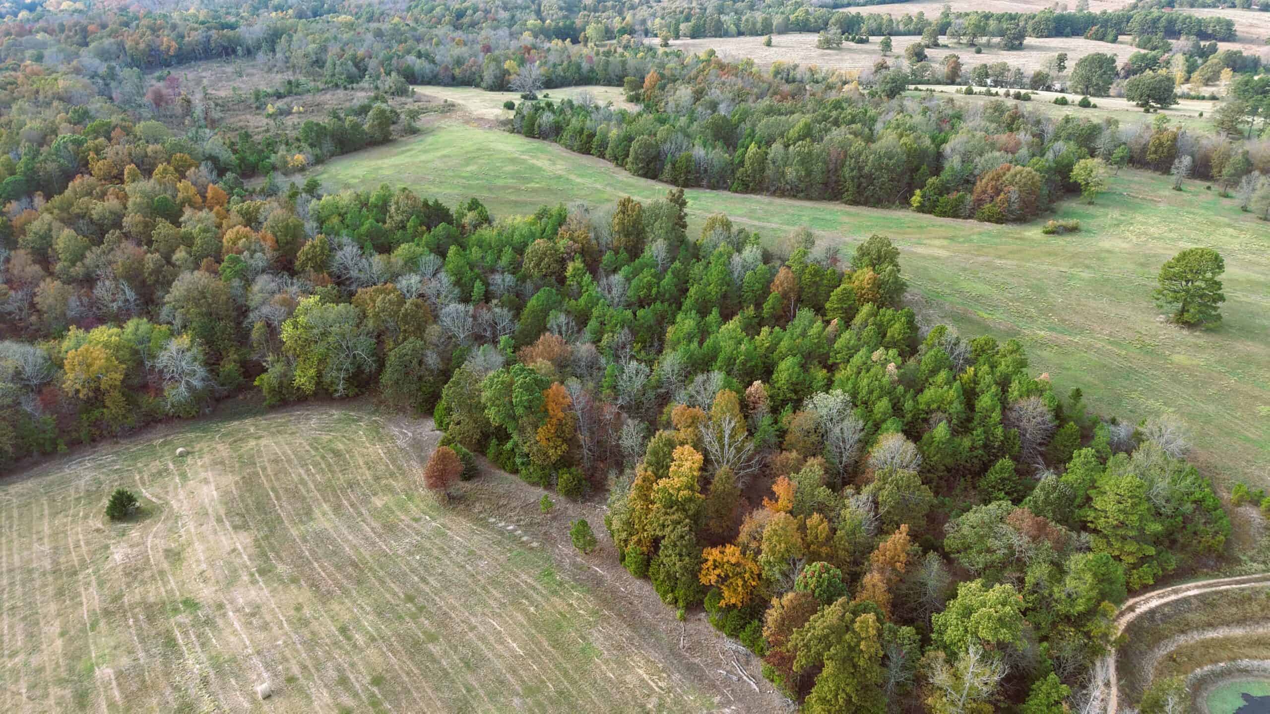 HUNTING LAND FOR SALE IN NORTH CENTRAL ARKANSAS OZARKS