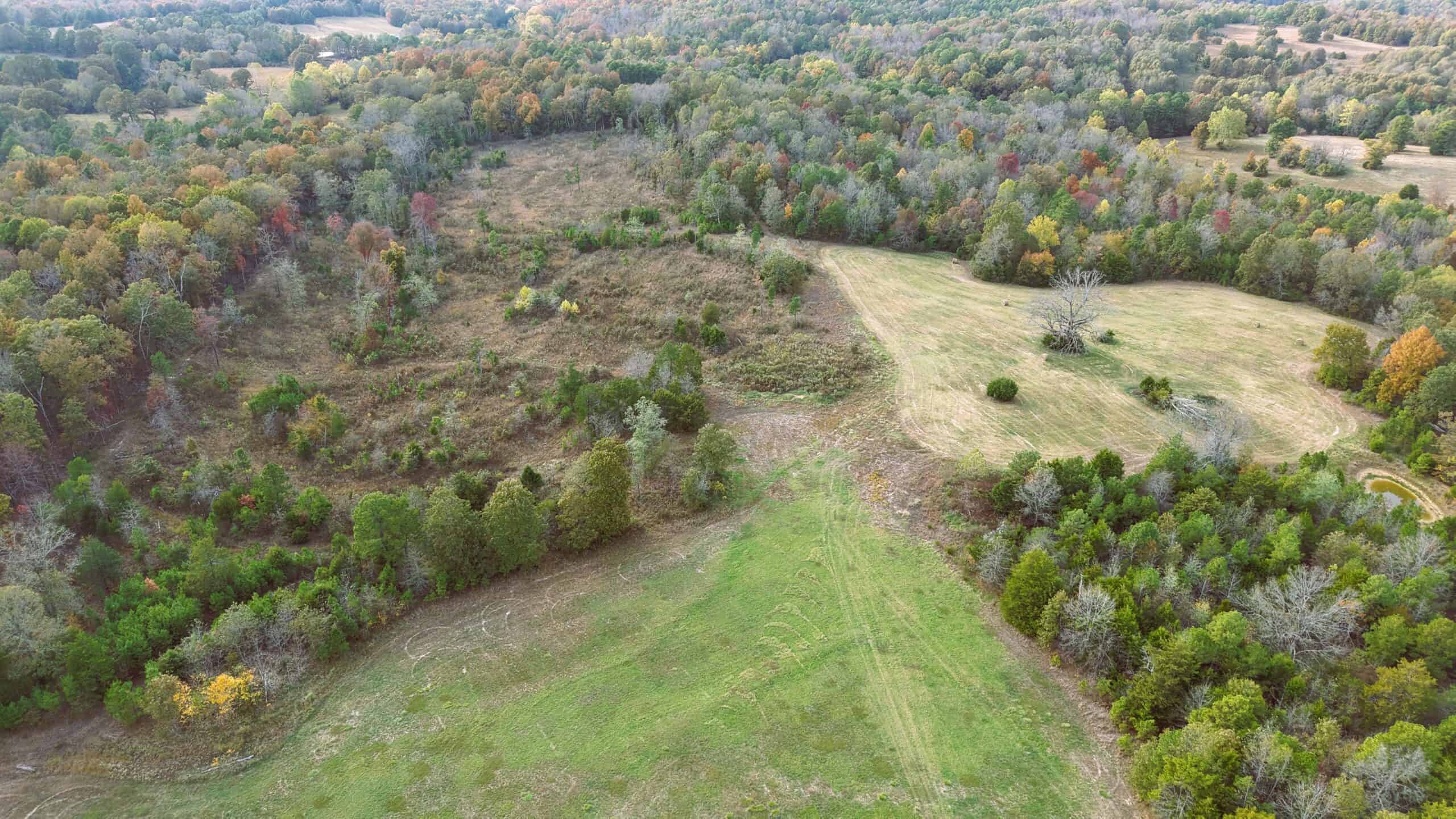 HUNTING LAND FOR SALE IN NORTH CENTRAL ARKANSAS OZARKS