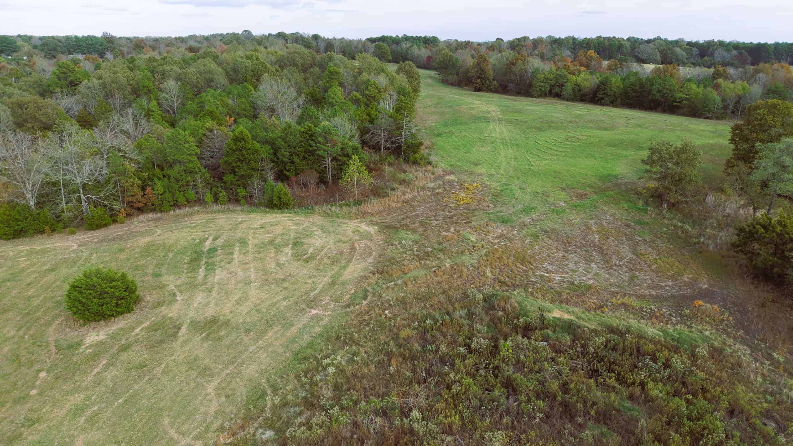 HUNTING LAND FOR SALE IN NORTH CENTRAL ARKANSAS OZARKS