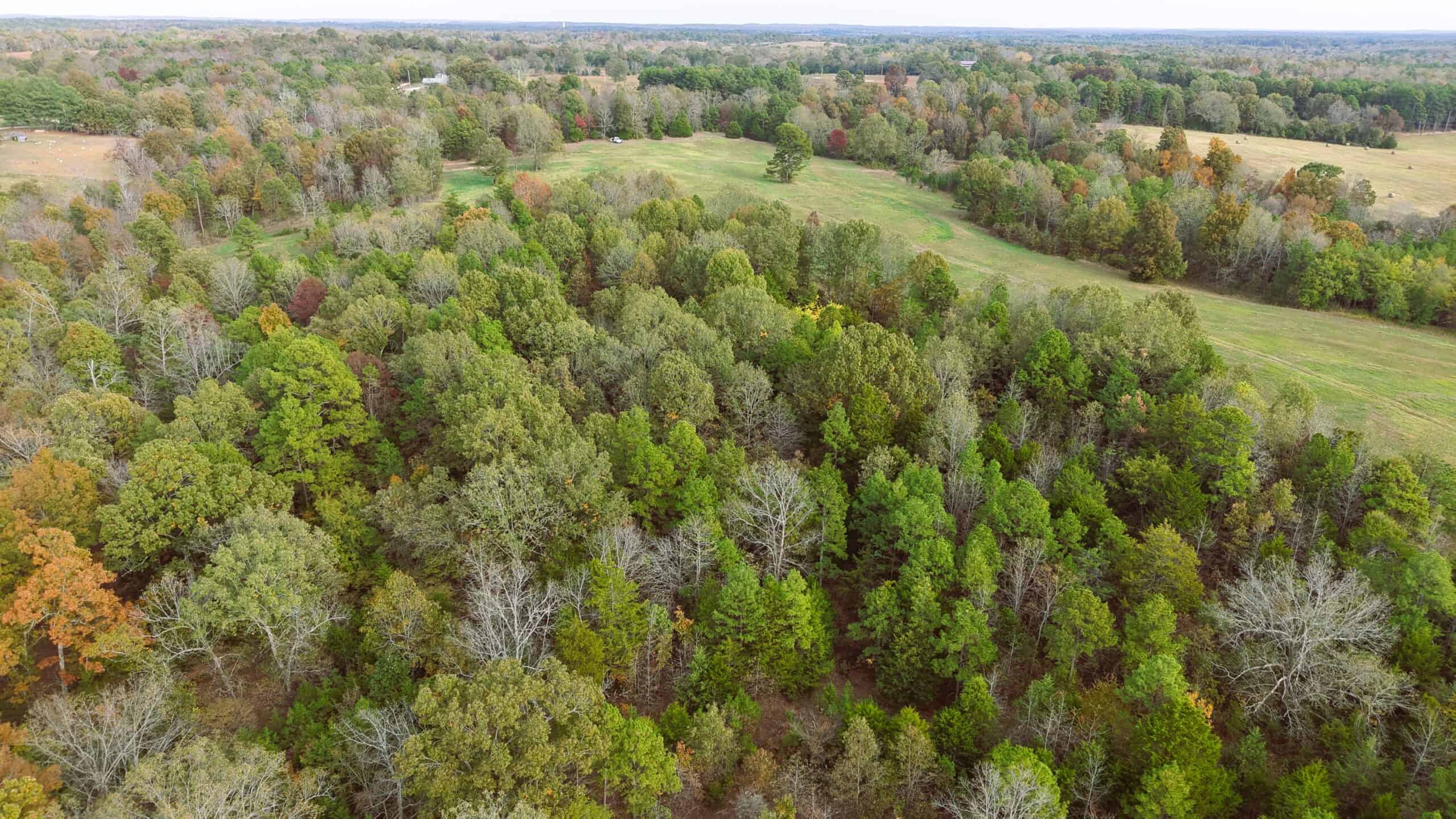 HUNTING LAND FOR SALE IN NORTH CENTRAL ARKANSAS OZARKS