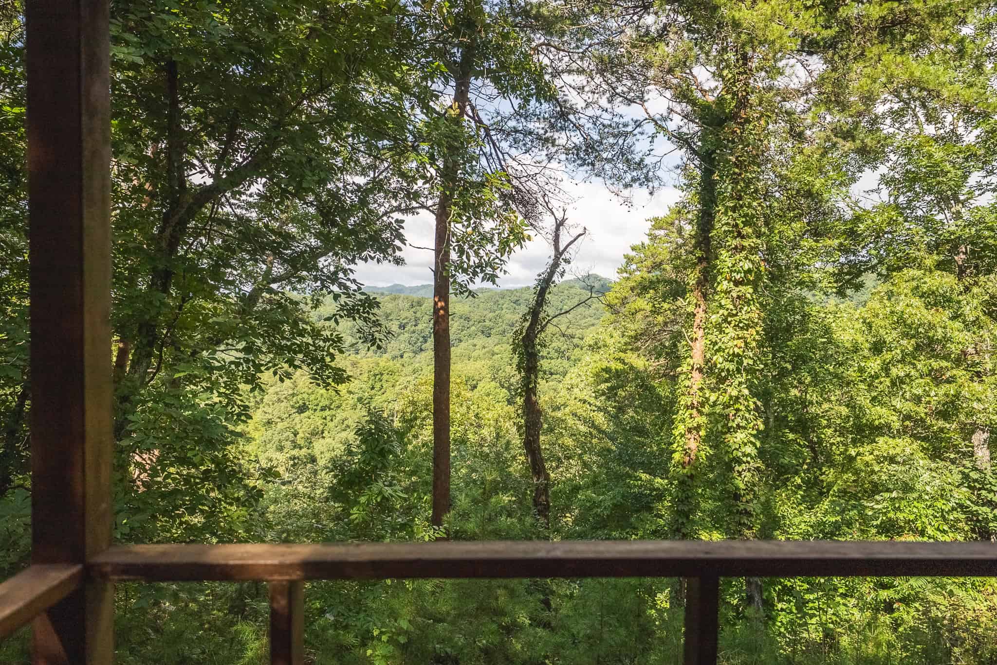 Private Retreat and Cabin for Sale in Scott Co