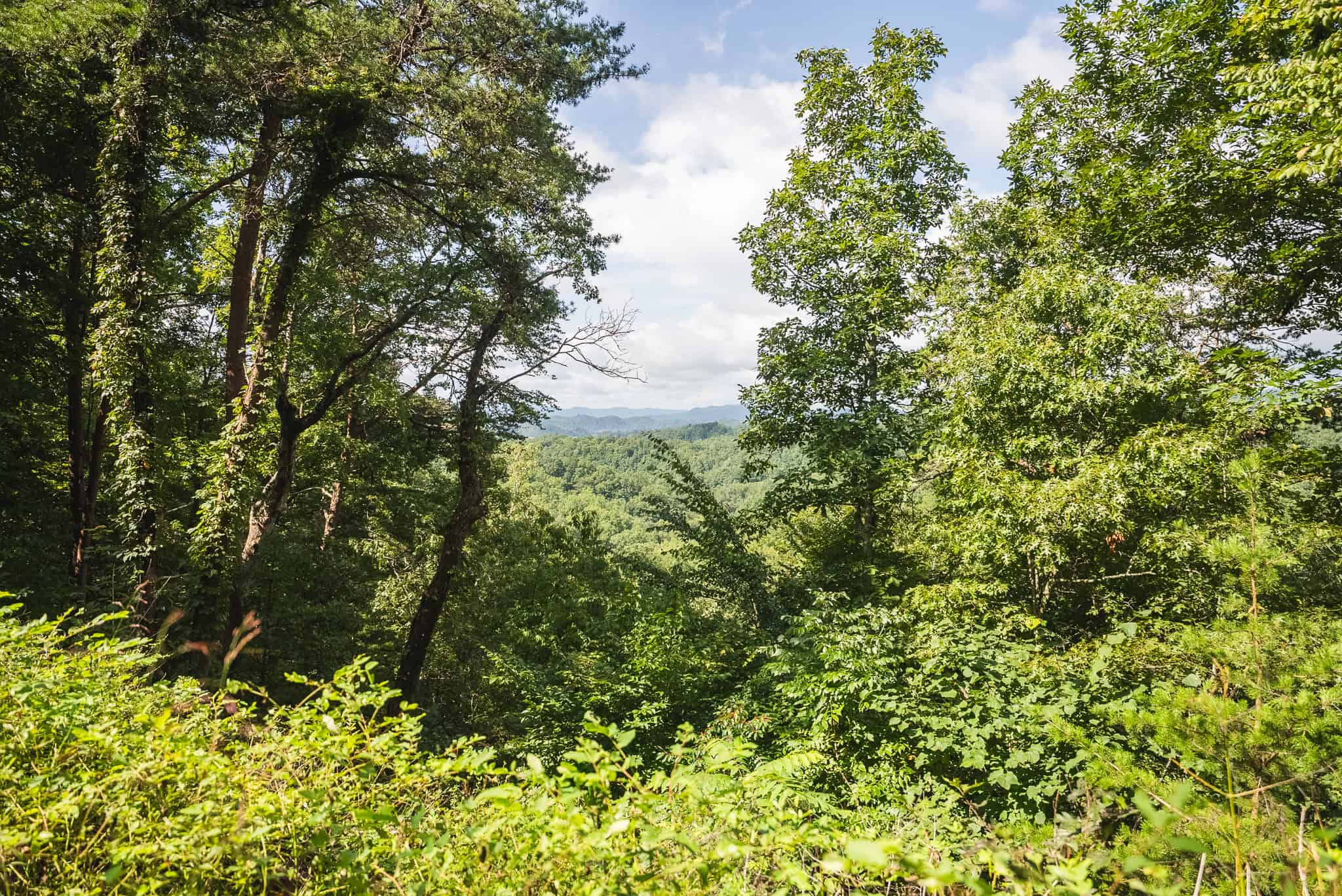 Private Retreat and Cabin for Sale in Scott Co