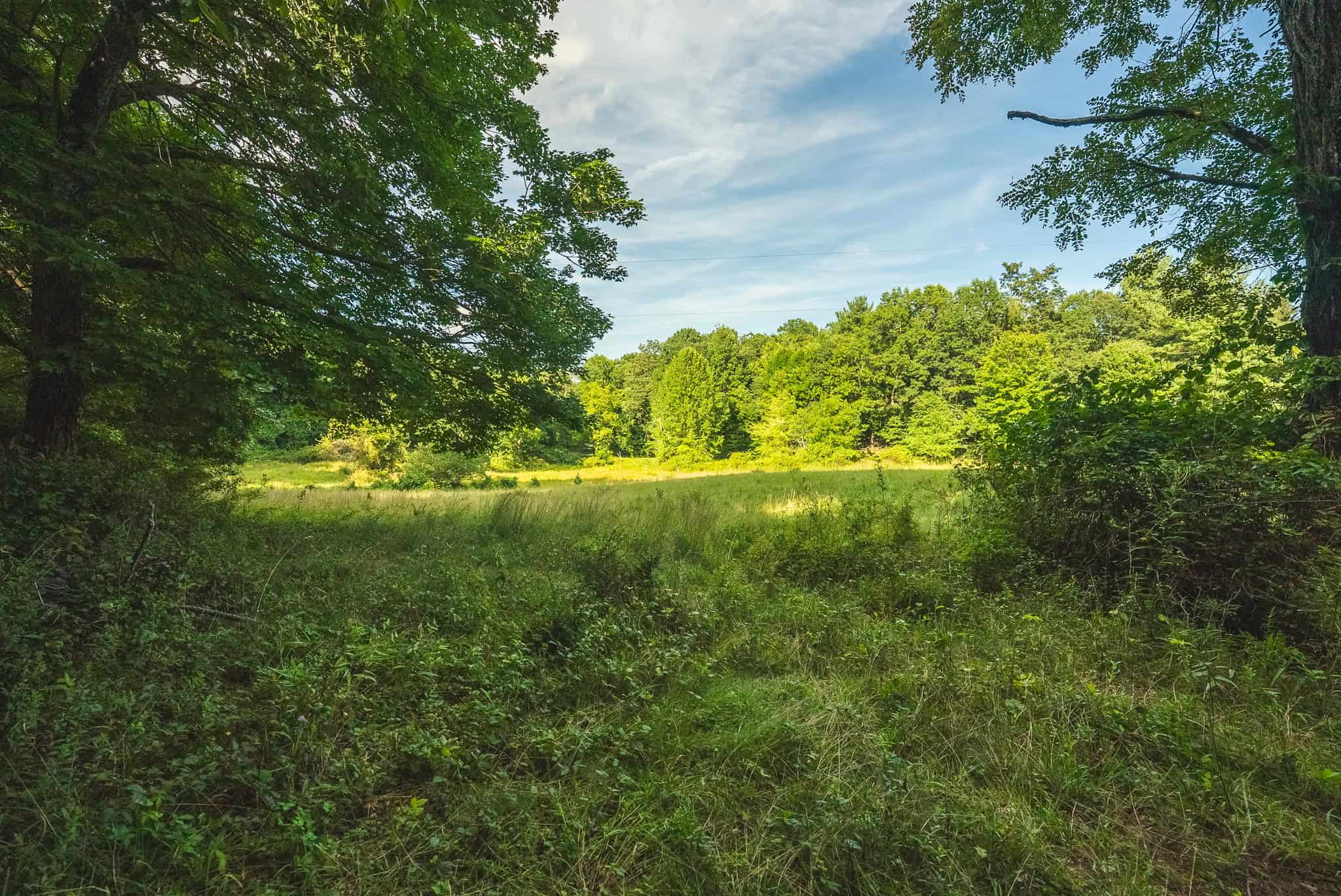 Land for sale in Floyd County VA
