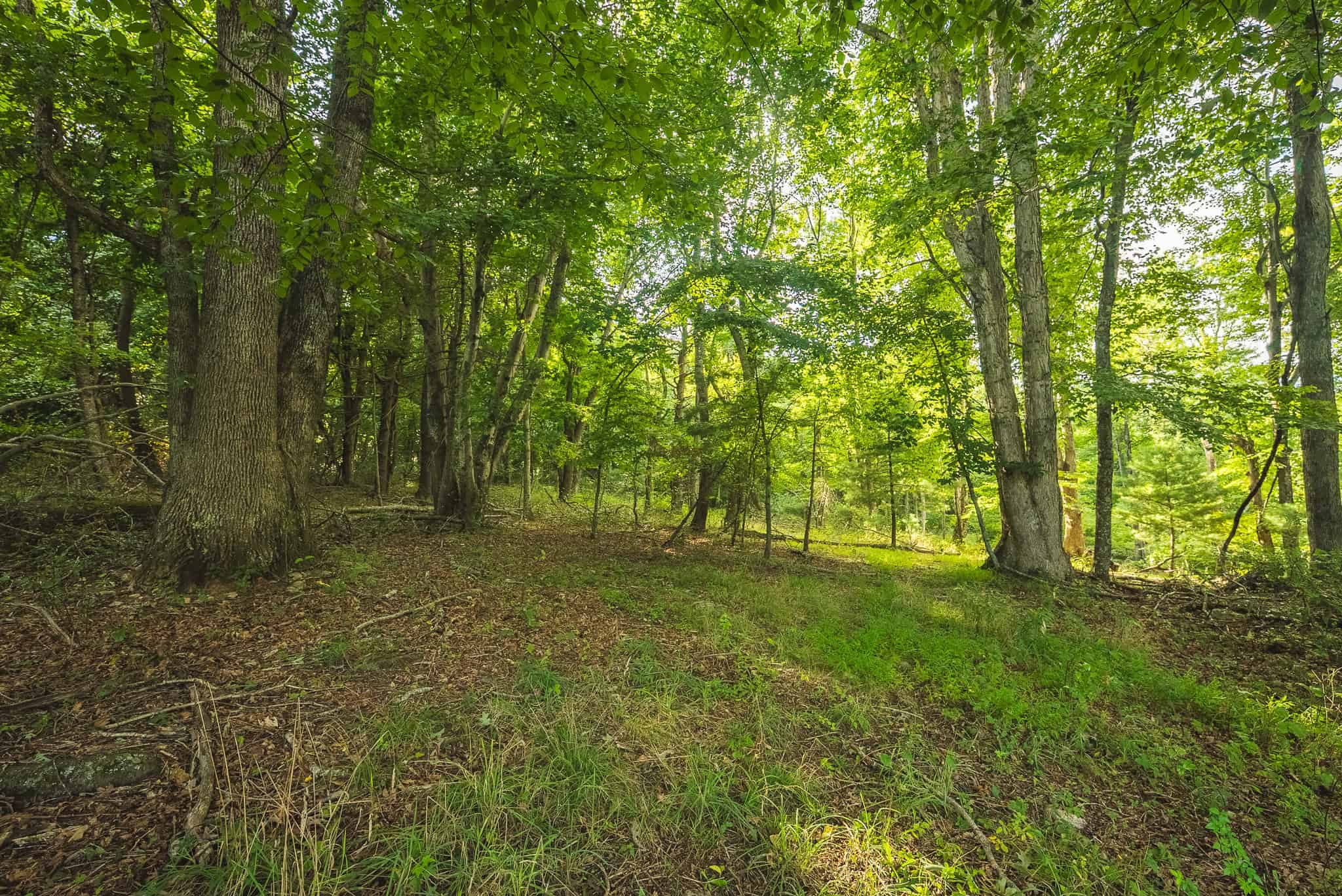 Land for sale in Floyd County VA