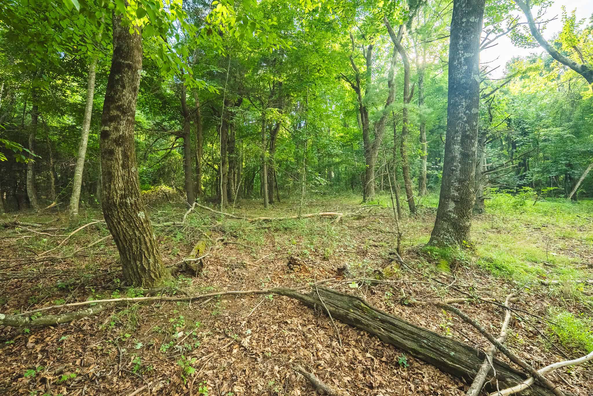 Land for sale in Floyd County VA