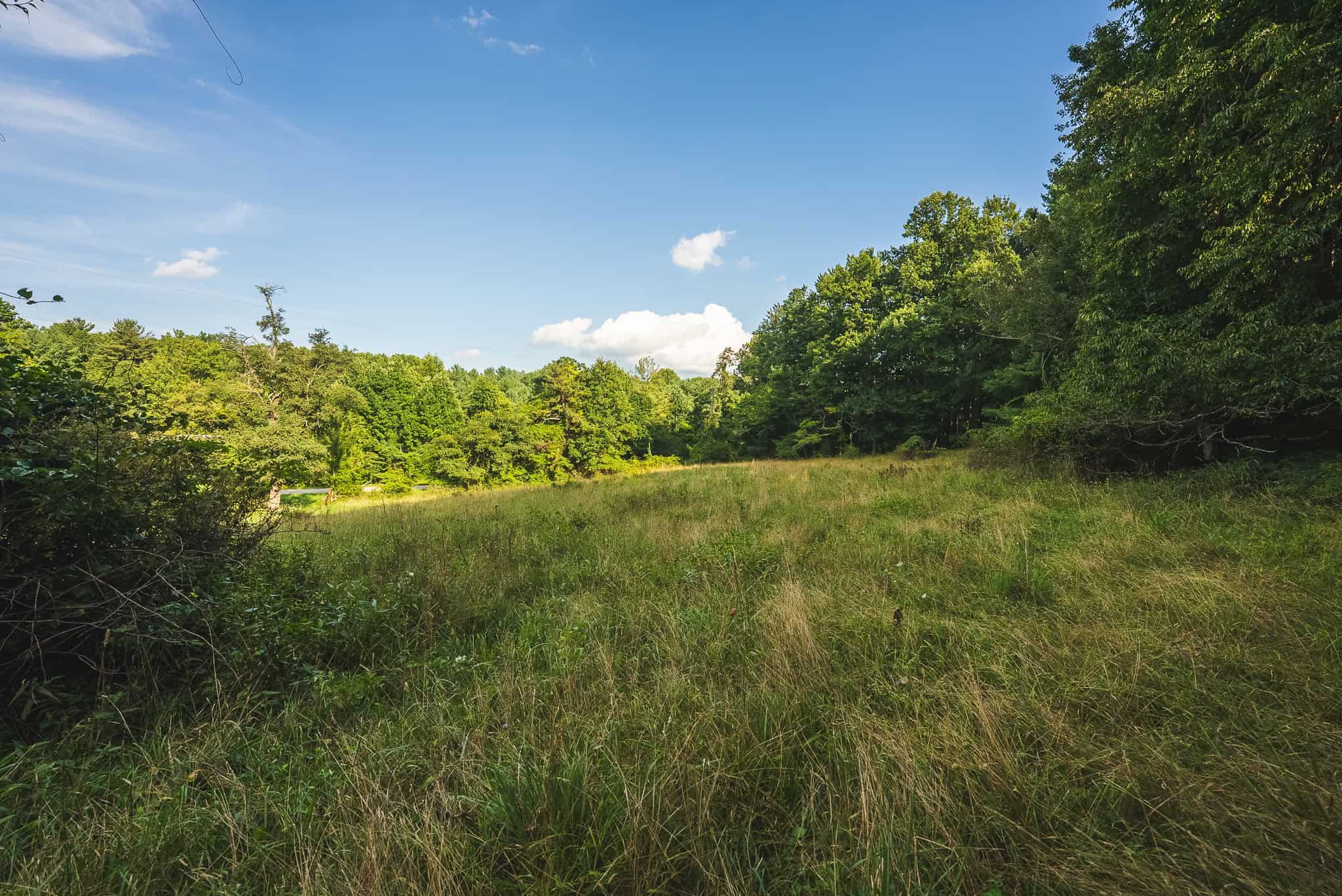 Land for sale in Floyd County VA