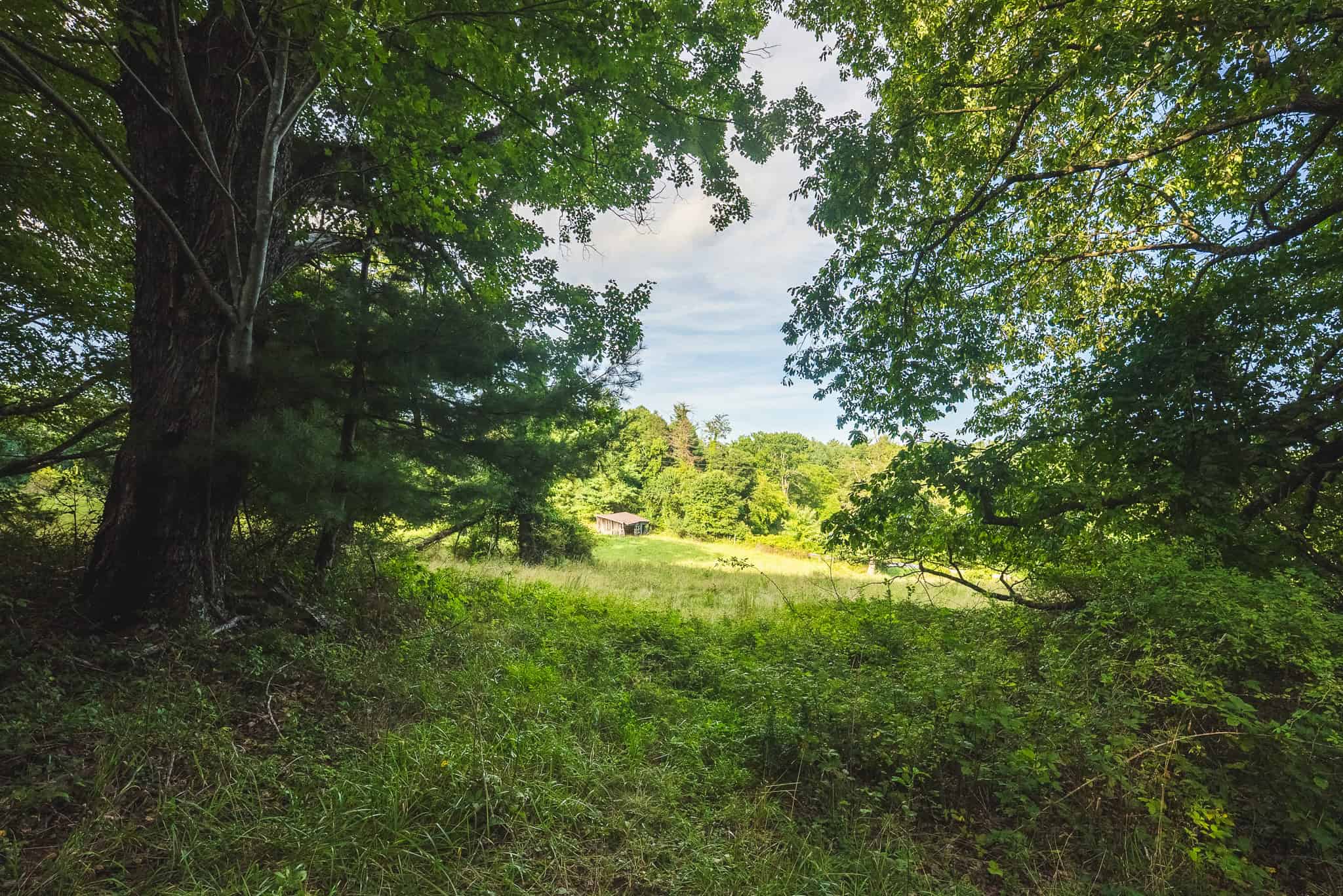 Land for sale in Floyd County VA