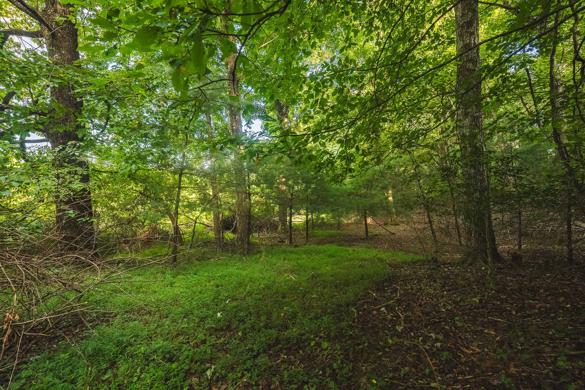 Land for sale in Floyd County VA