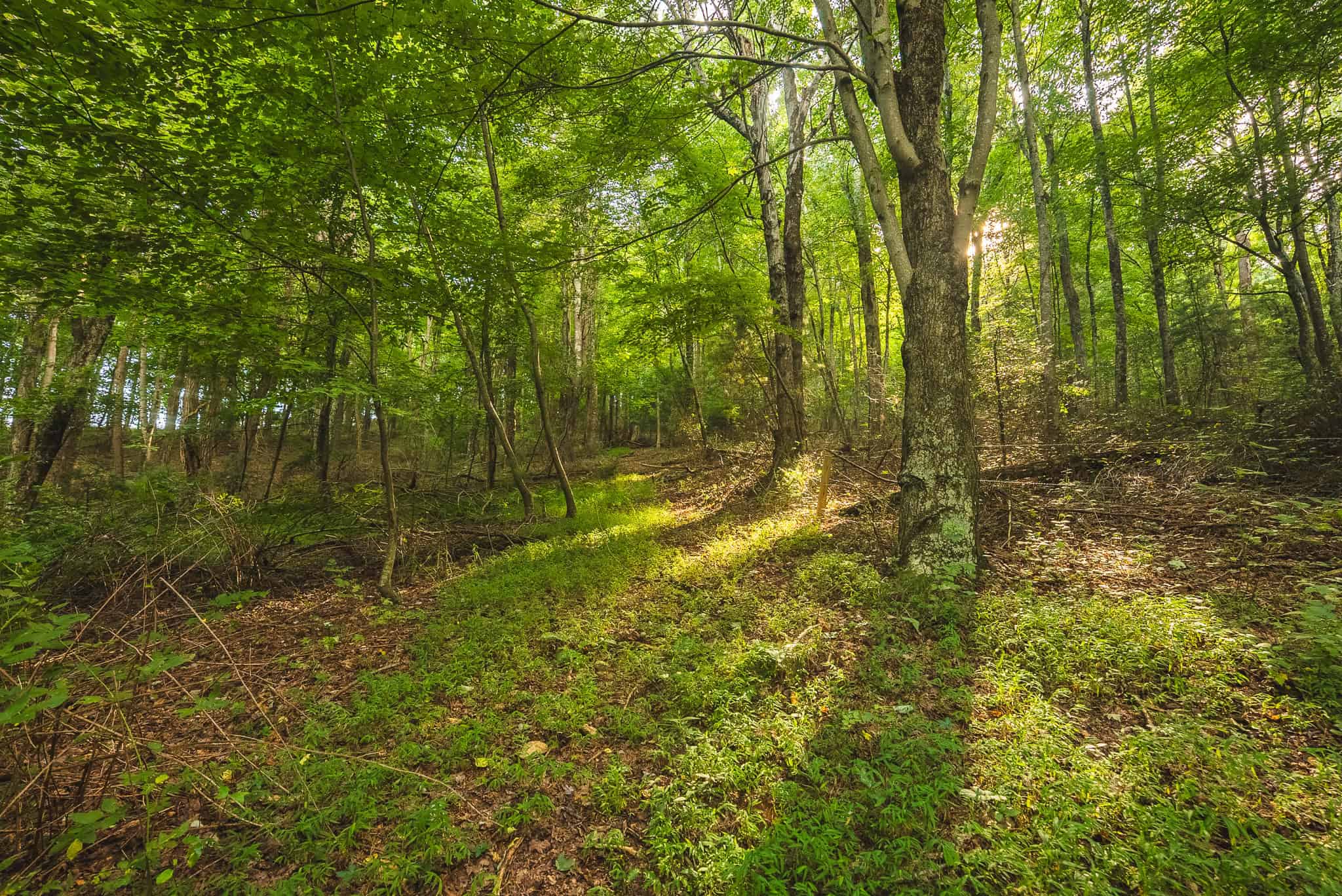 Land for sale in Floyd County VA