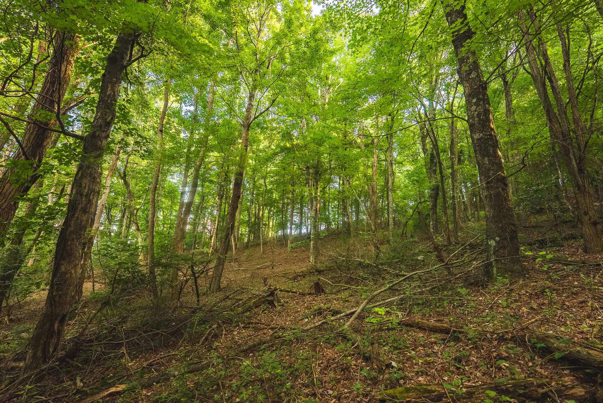 Land for sale in Floyd County VA