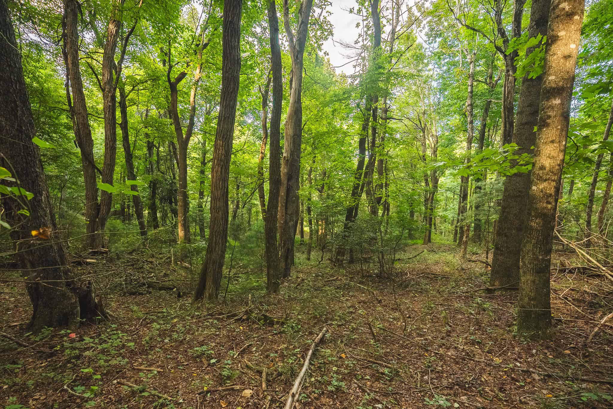 Land for sale in Floyd County VA
