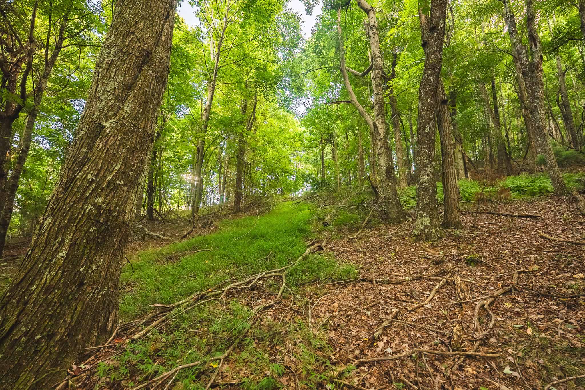 Land for sale in Floyd County VA