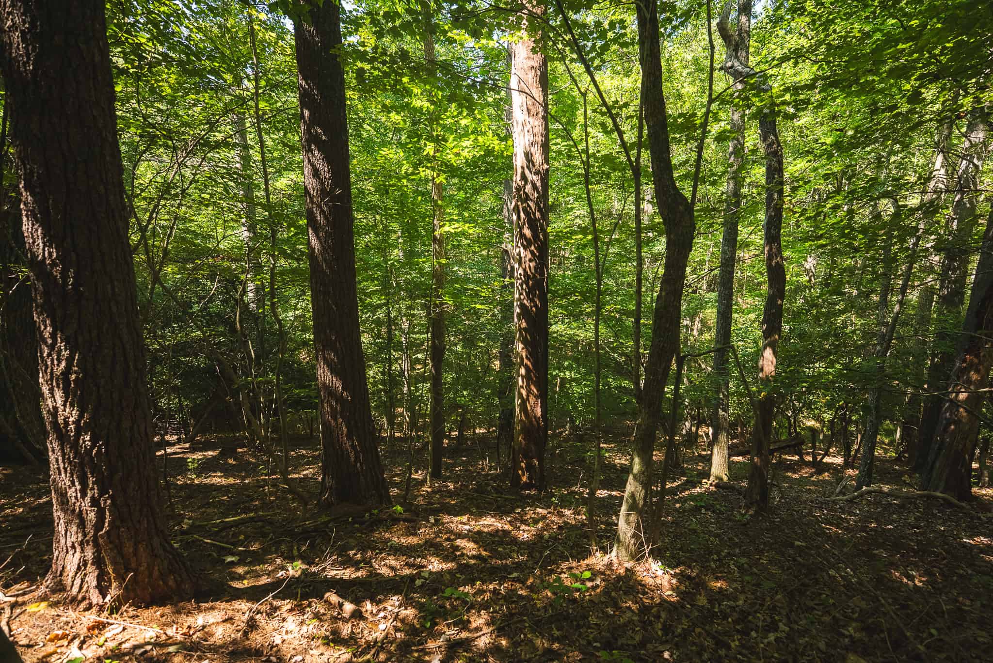 Beautiful Farmland with Views for Sale in Riner, VA!