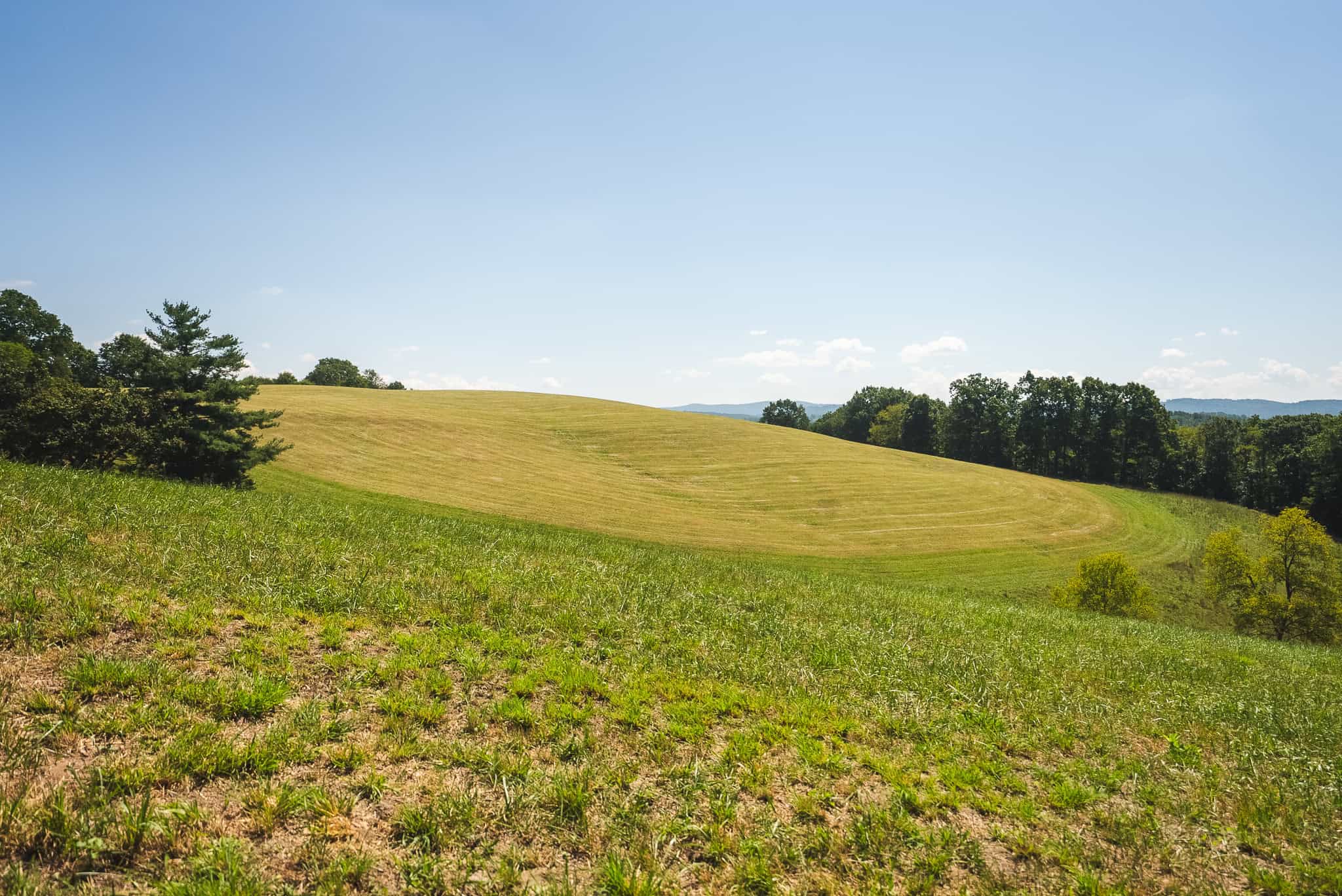 Beautiful Farmland with Views for Sale in Riner, VA!