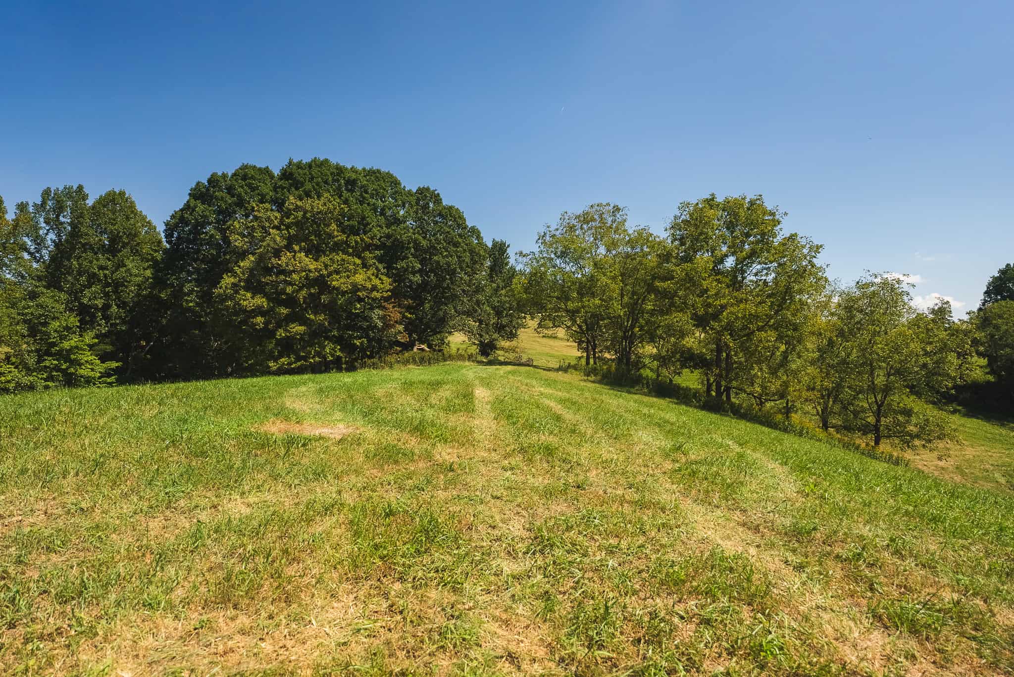 Beautiful Farmland with Views for Sale in Riner, VA!