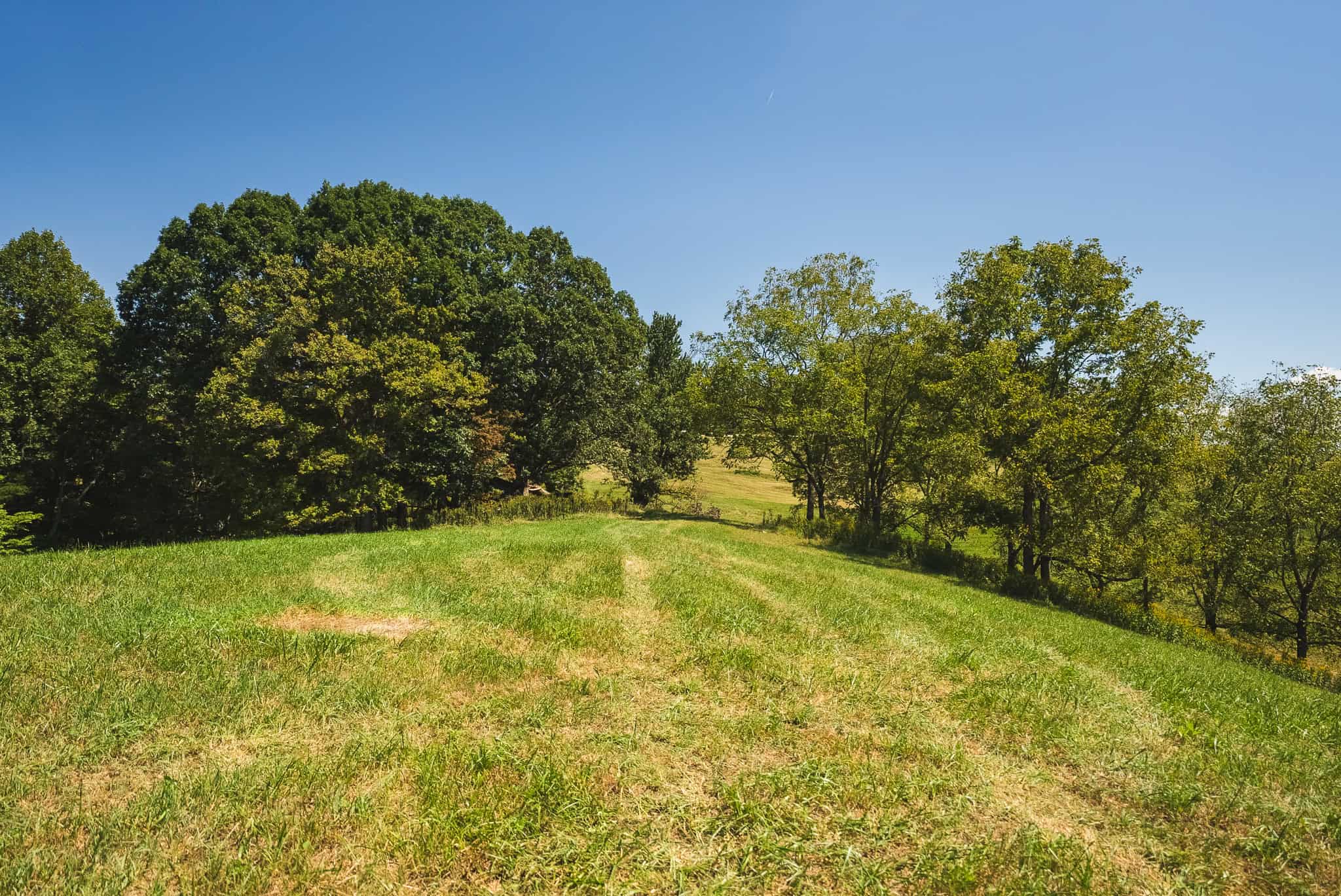 Beautiful Farmland with Views for Sale in Riner, VA!