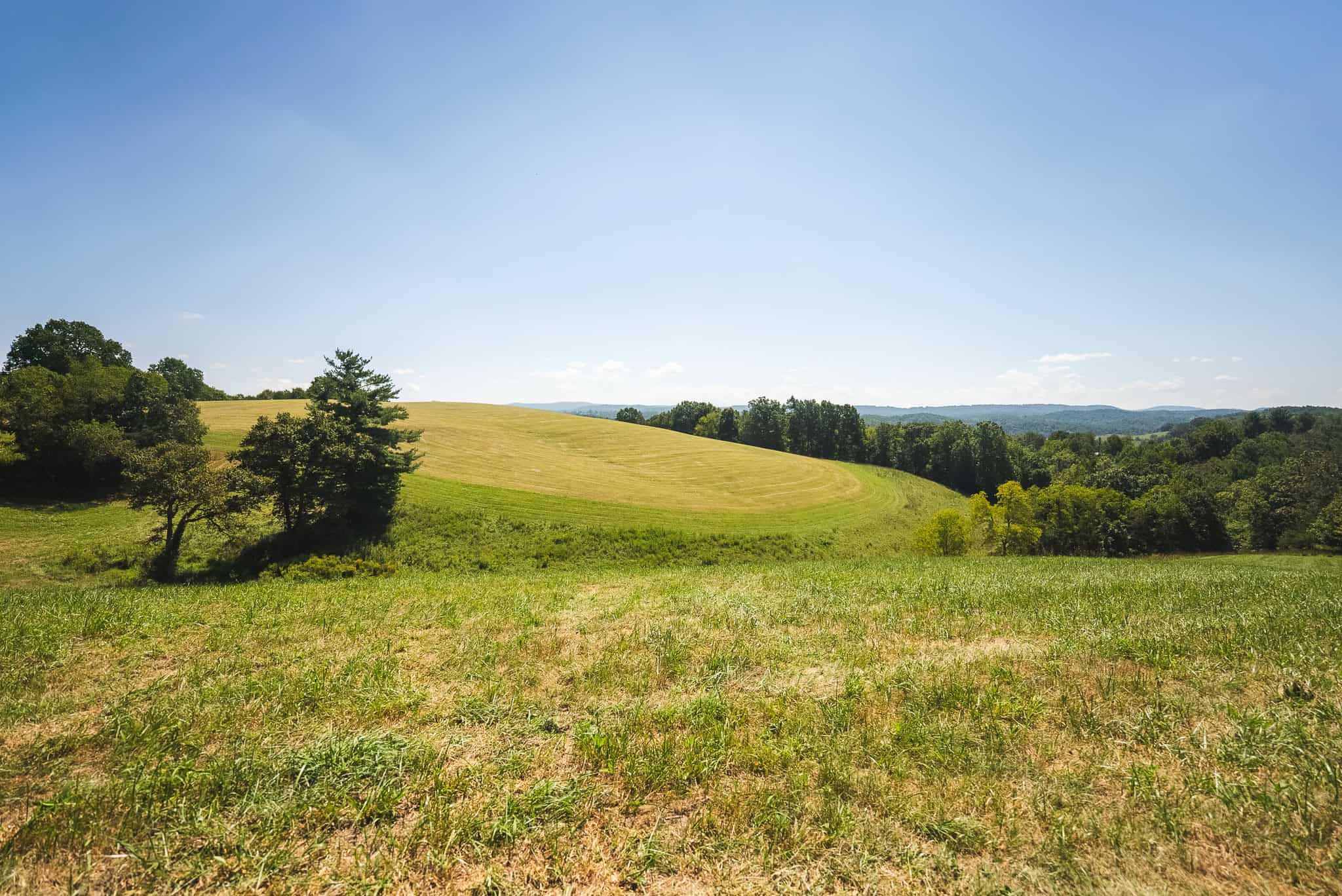 Beautiful Farmland with Views for Sale in Riner, VA!