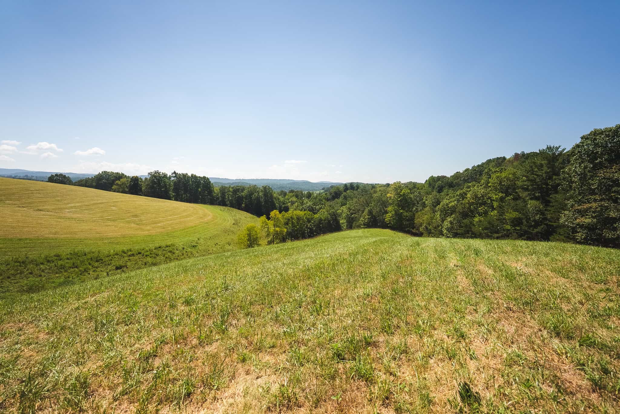 Beautiful Farmland with Views for Sale in Riner, VA!