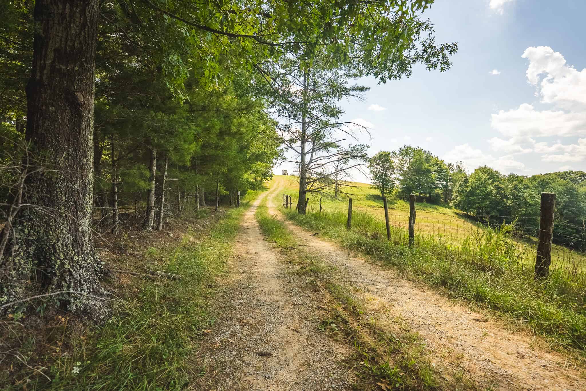 Beautiful Farmland with Views for Sale in Riner, VA!