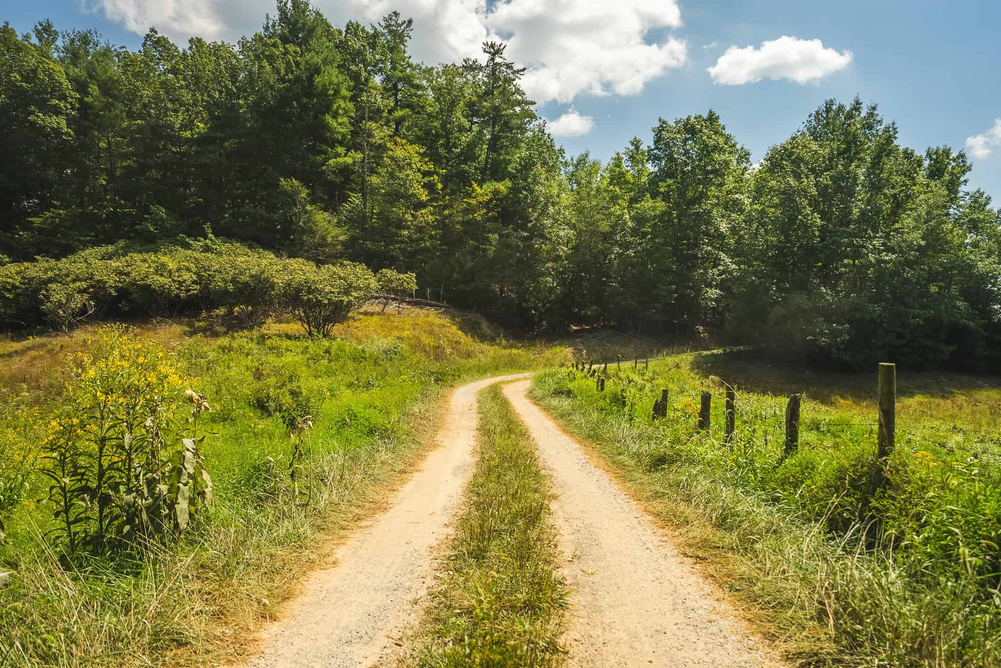 Beautiful Farmland with Views for Sale in Riner, VA!