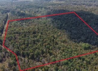 ACREAGE FOR SALE IN NORTH CENTRAL ARKANSAS