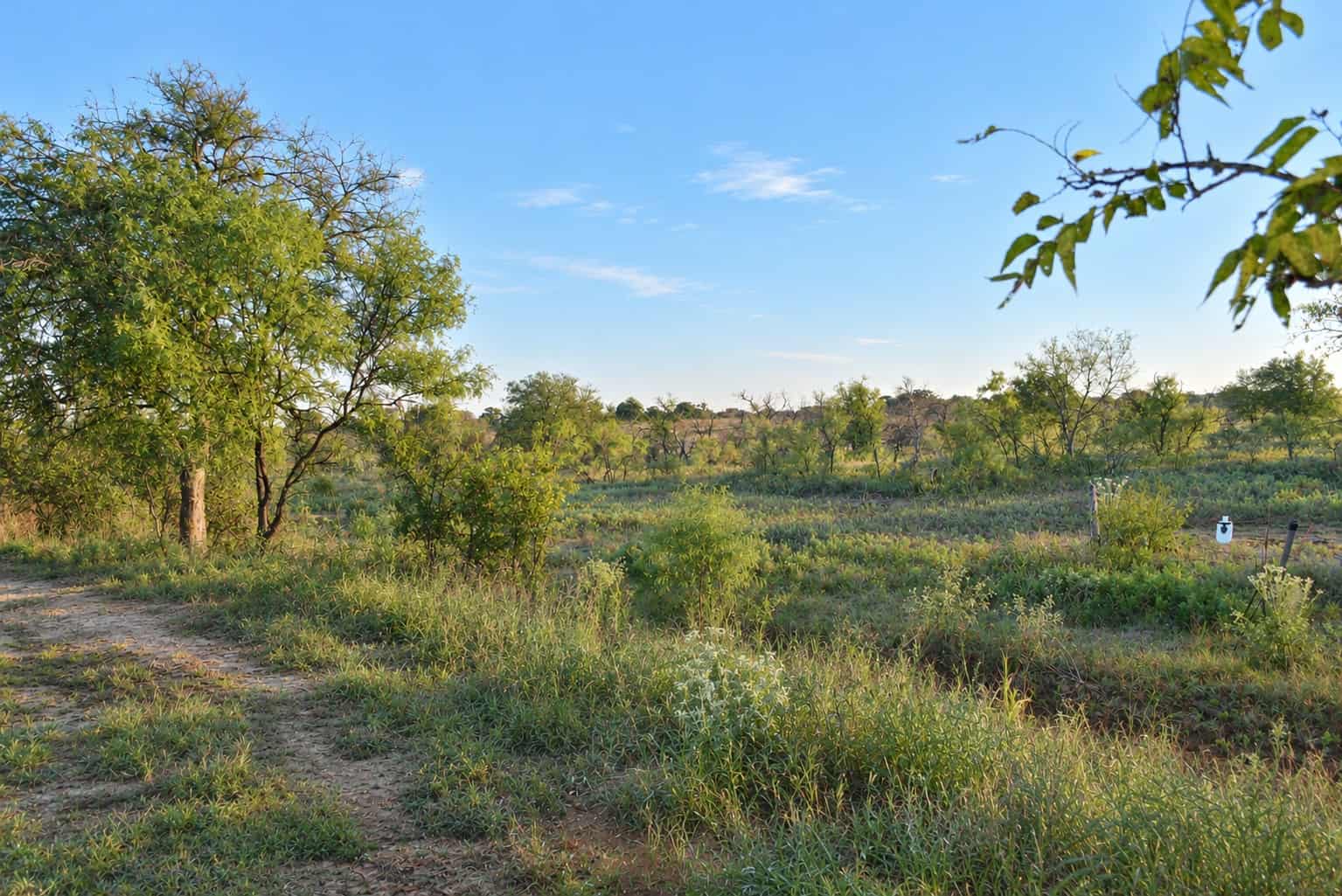 26 ac with Log Home in Jack County TX