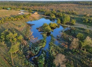 26 ac with Log Home in Jack County TX