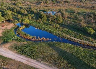 26 ac with Log Home in Jack County TX